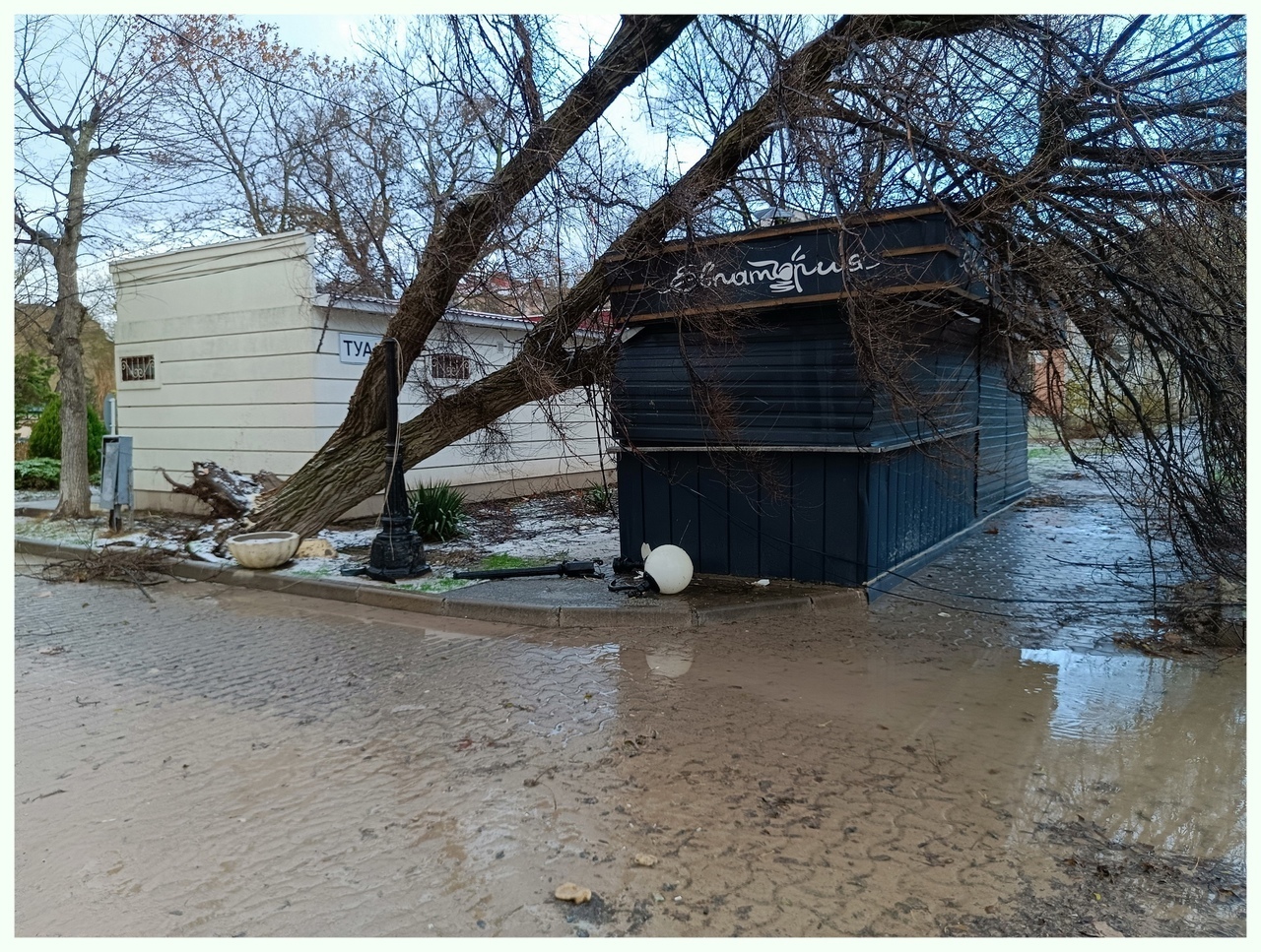 Последствия «шторма века» в Крыму. Комментарии народа: просто стихийное бедствие или гнев Небес?