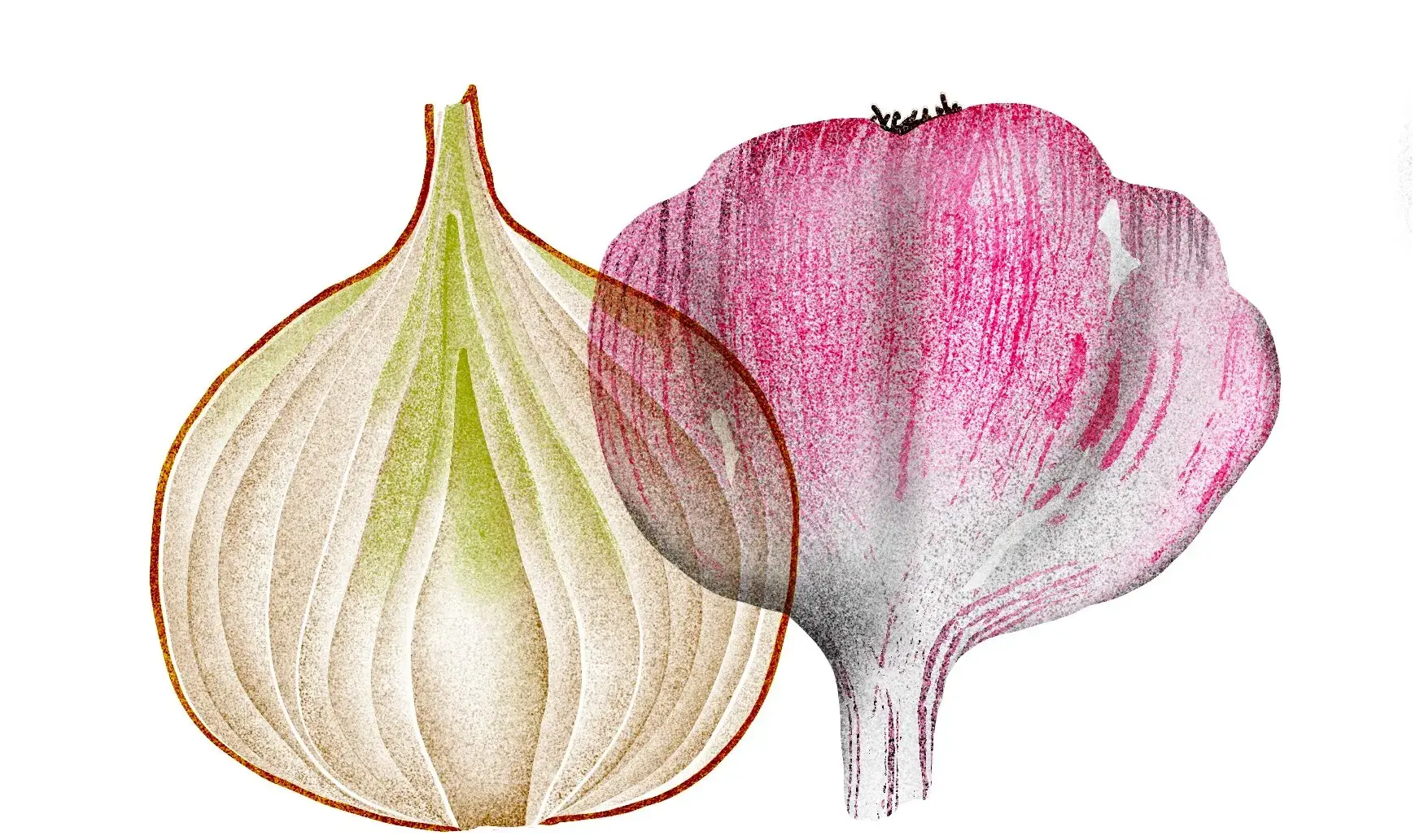 Могут ли определенные продукты действительно снизить риск развития рака?