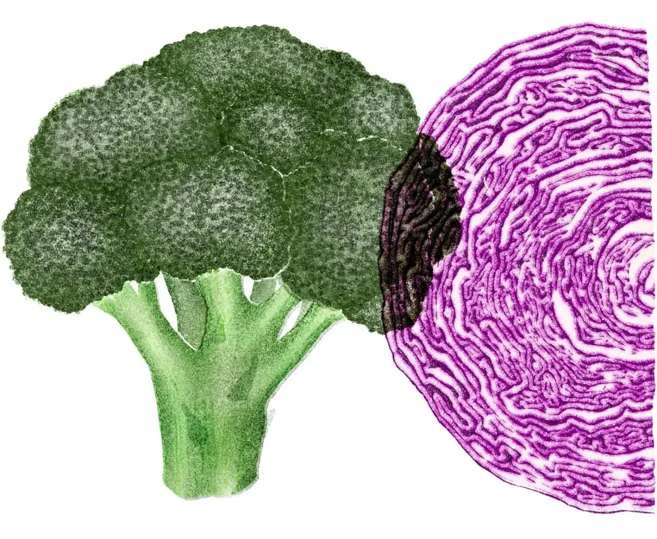 Могут ли определенные продукты действительно снизить риск развития рака?