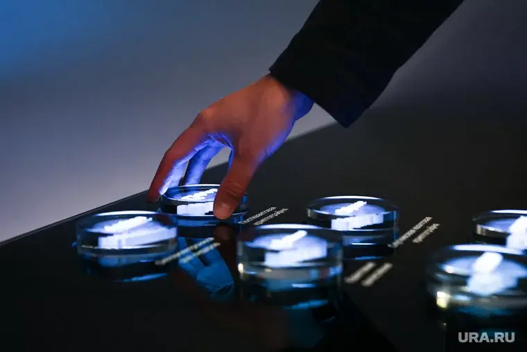 Рай или ад? Следующий этап развития нейросетей