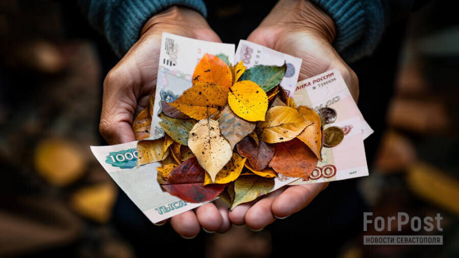 Новые изменения в законы с 1 декабря 2023 года