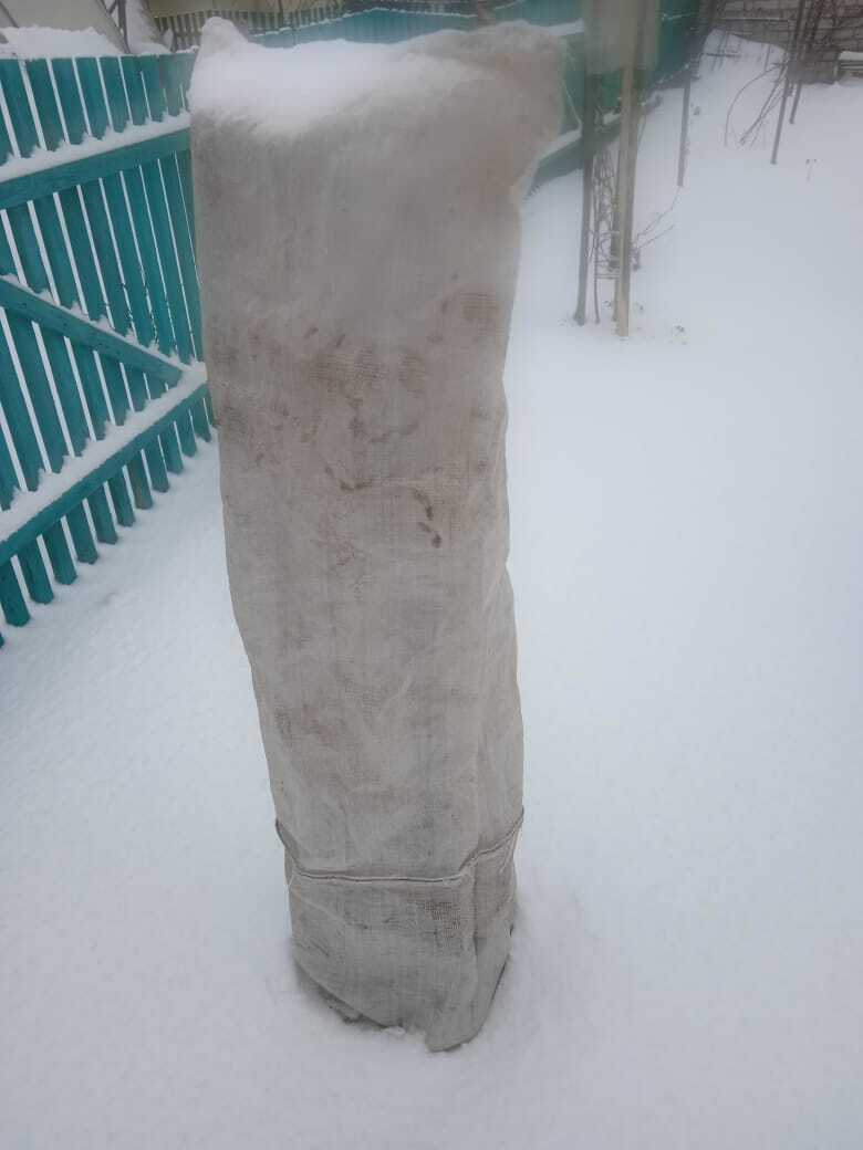 К зиме готовы! Сахарные мешки зимой на вес золота: как и во что одеть сад на зиму, чтобы летом остаться с урожаем. Делюсь своим опытом.