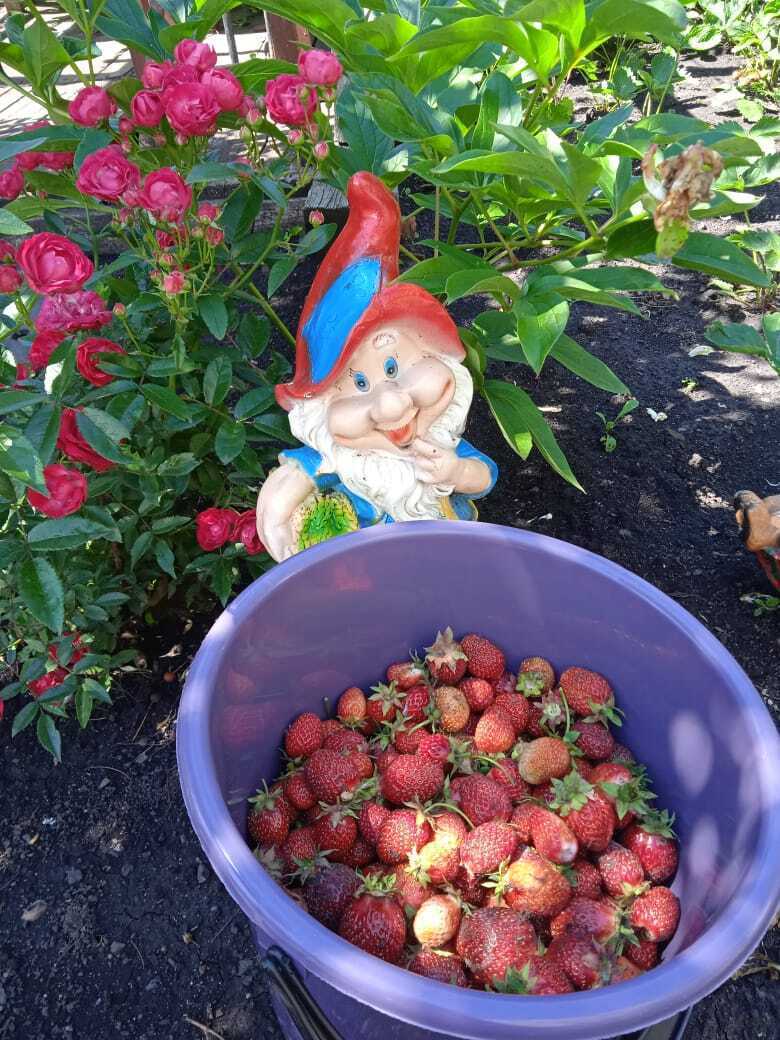 «Зачем выбрасывать, если заработать можно»: как любимое хобби превратилось в дополнительный источник дохода.