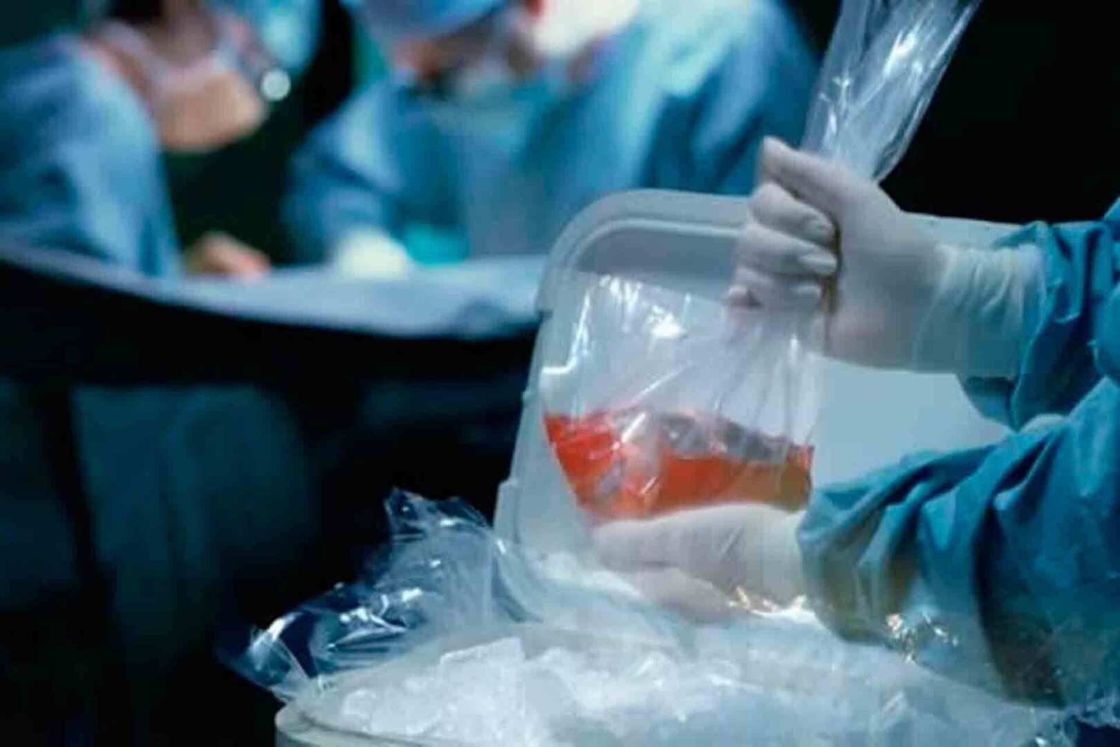 Реки крови: Почему человеческие органы становятся предметом торговли и как сохранить этический аспект трансплантации