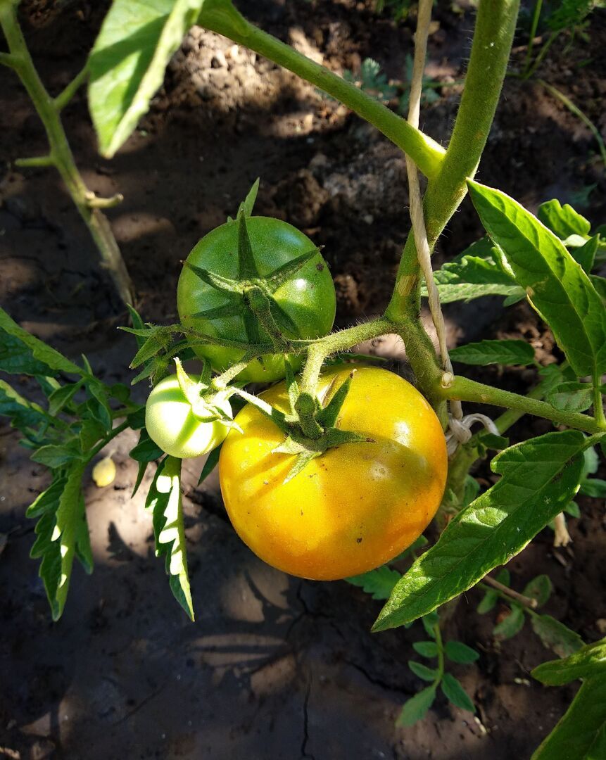 От русской глубинки муж-немец испытал шок, но сказал, что выучит язык и вернется