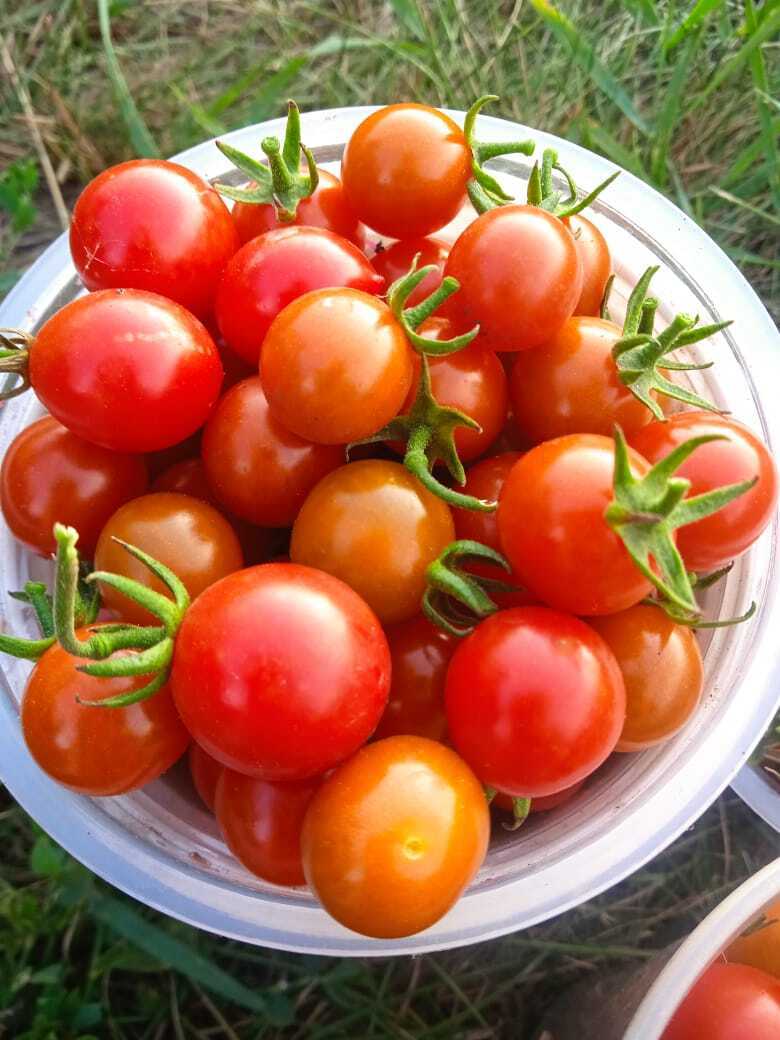 Домашняя выпечка: что вкусного я пеку в выходные для своих родных, делюсь секретом моей выпечки и фотографиями пирожков.