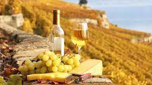 Гастротуры: Путешествие В Мир Вкуса и Бизнеса