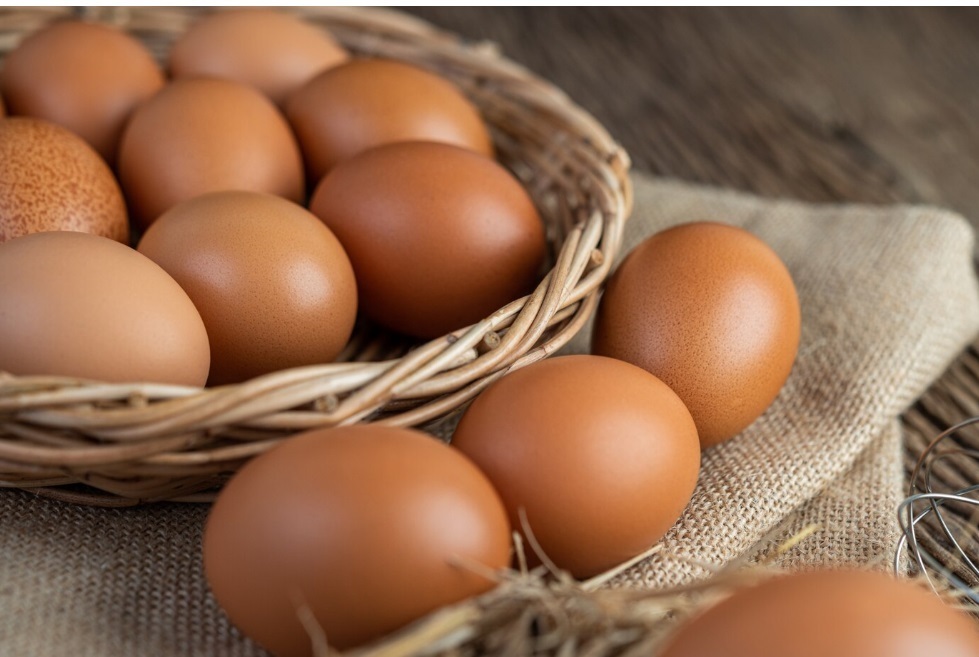 Птицефабрики примут меры для ограничения роста цен на яйца