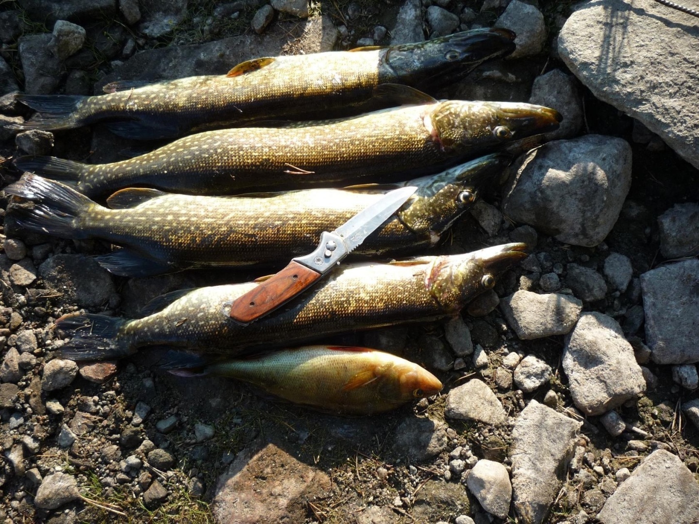 На байдарках по Карелии! Наш поход по порогам
