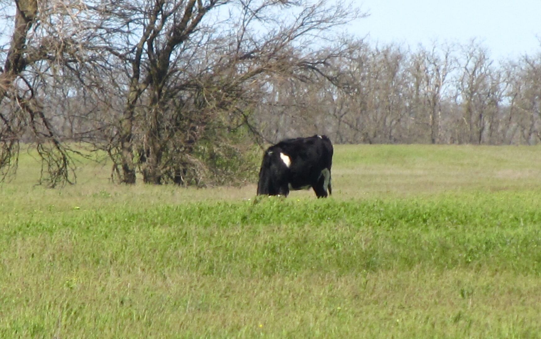 От русской глубинки муж-немец испытал шок, но сказал, что выучит язык и вернется