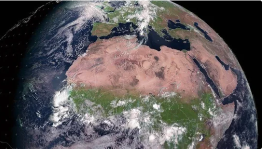 Сдержан в деталях? Иран заявил, что отправил на орбиту капсулу с животными