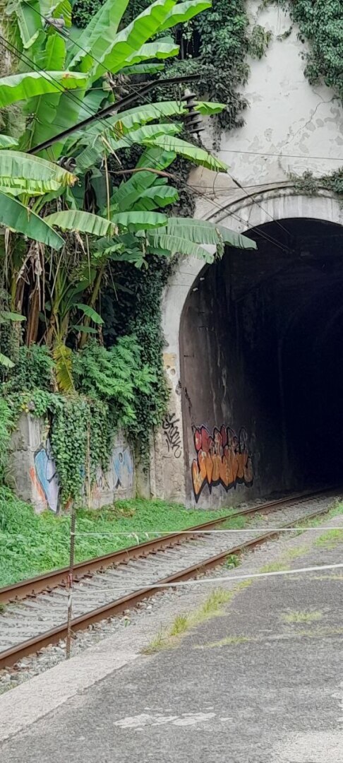 Абхазия для русских. Как мы рискнули и поехали