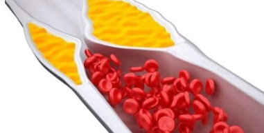 10 причин, почему пить пиво полезно, его свойства и польза.