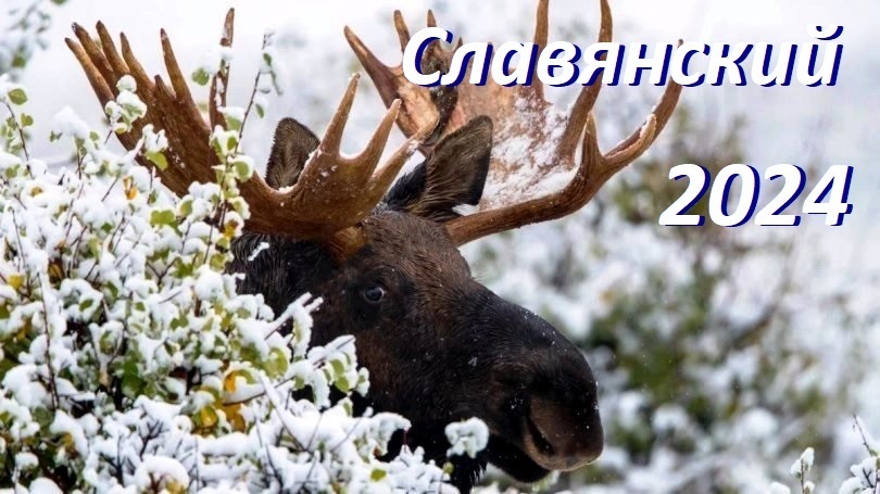 ❤️ Никаких китайских Драконов! Символ нового 2024 года - Темный Сох (Лось) по славянскому календарю.