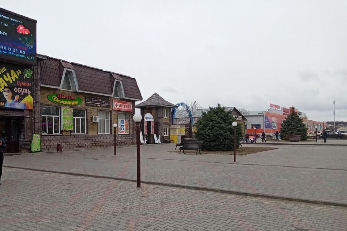 Где снег, зима? Печальные реалии южных регионов России