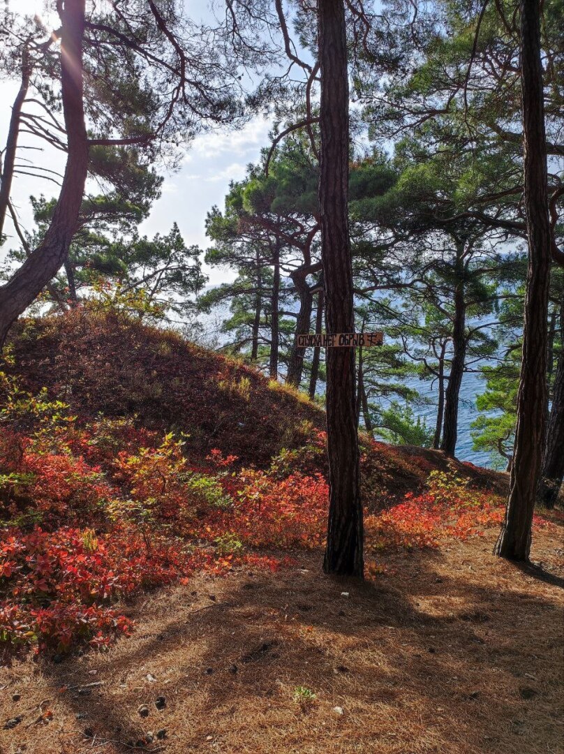 Такую красоту надо видеть своими глазами!