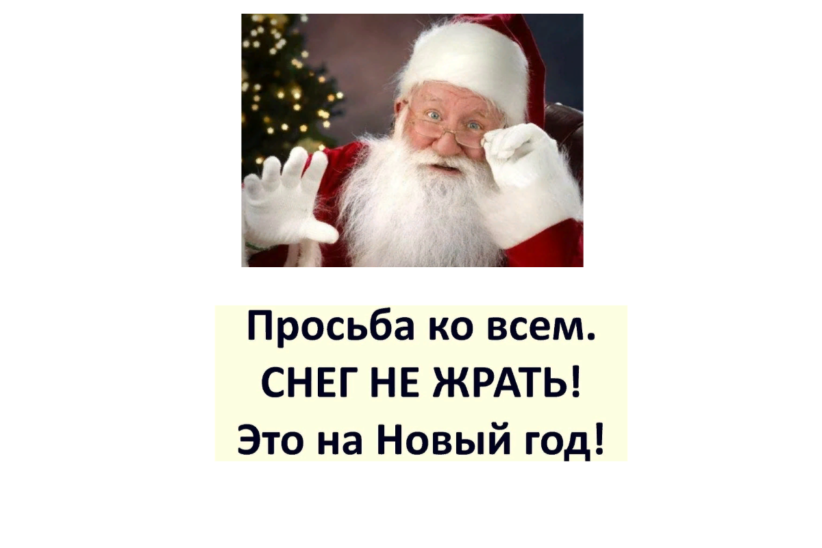 Где снег, зима? Печальные реалии южных регионов России