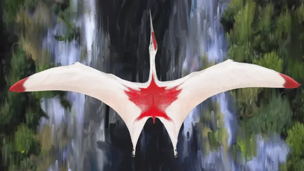 Ископаемые ученые нашли "замороженного дракона" птерозавра в Канаде