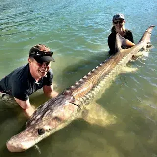 Какая рыба самая вкусная в России: рейтинг популярных видов