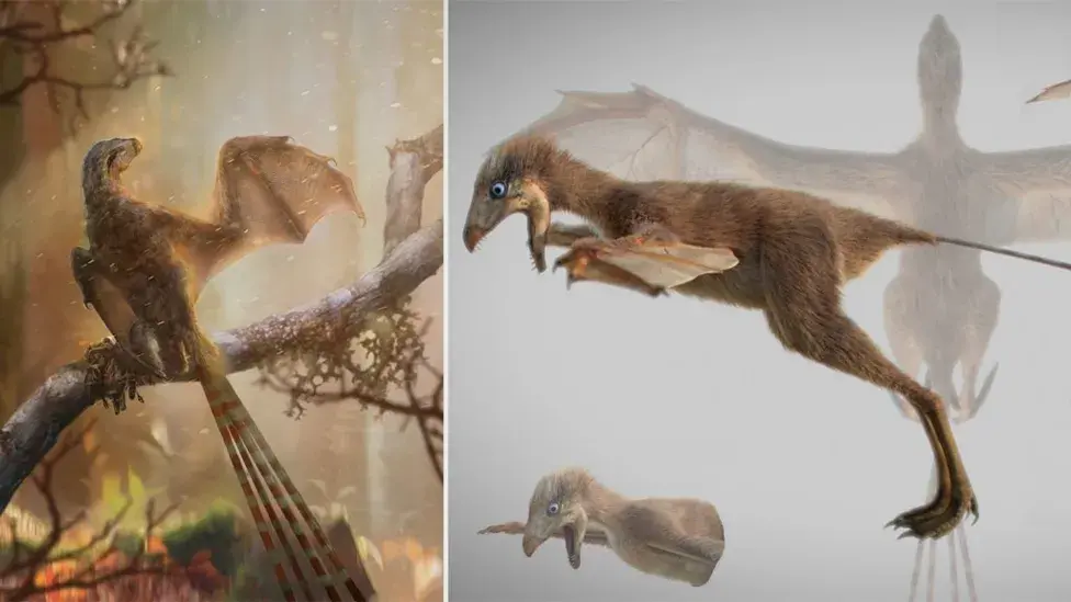 Обнаружен новый вид динозавров с крыльями летучей мыши