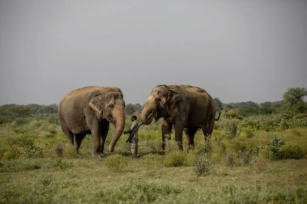 Фотографии выходного дня. Дикая природа. 10 декабря.