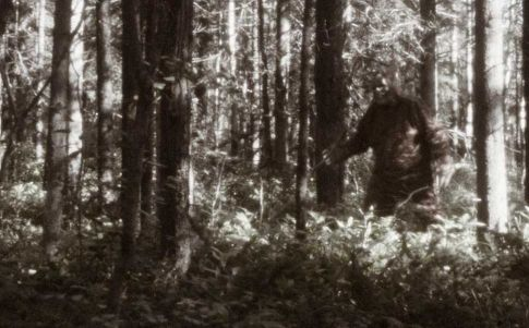 Северная Америка: постоянные появления снежного человека