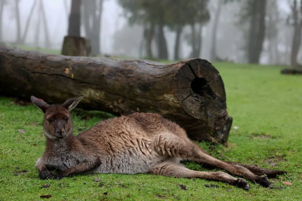 Фотографии выходного дня. Дикая природа. 10 декабря.