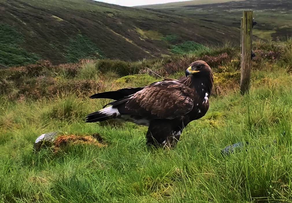 Фотографии выходного дня. Дикая природа. 10 декабря.