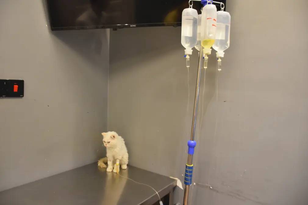 Фотографии выходного дня. Дикая природа. 10 декабря.