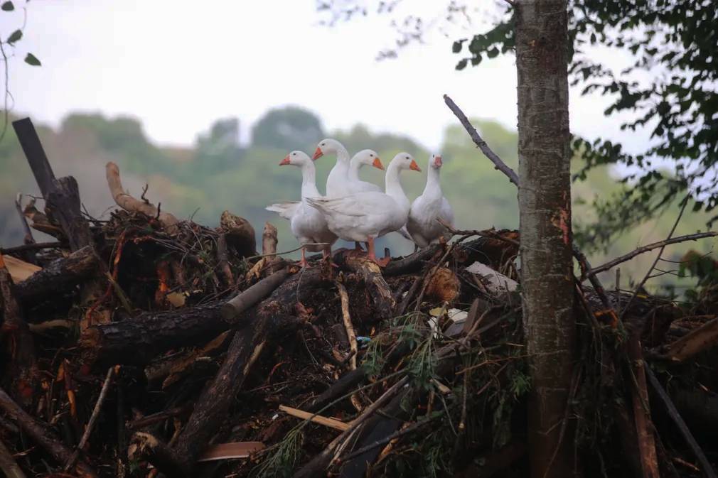 Фотографии выходного дня. Дикая природа. 10 декабря.