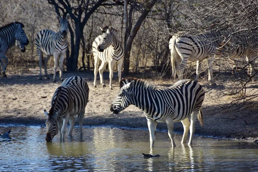 Фотографии выходного дня. Дикая природа. 10 декабря.