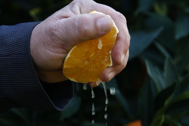 "Что никогда не стоит заказывать в ресторане, по порядку"