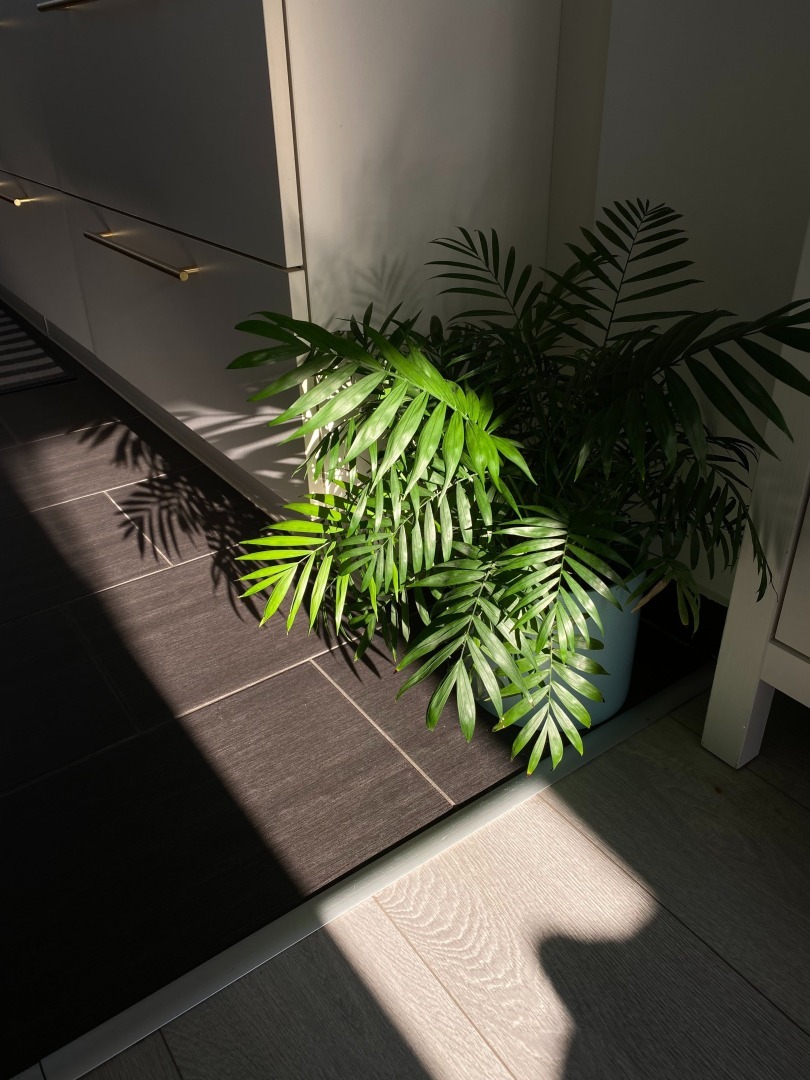 "10 простых советов, как очистить свой дом от негатива и создать гармонию"