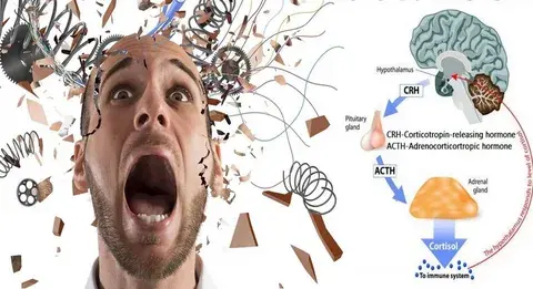 "7 простых советов, как найти свой Дзен и подавить стресс в любой ситуации"