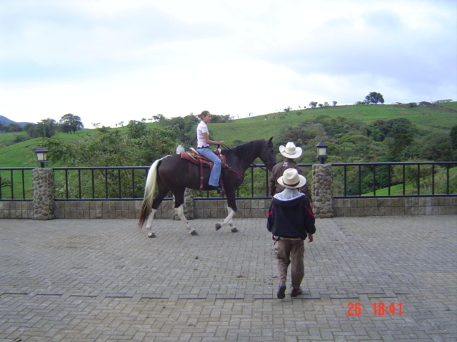Встать, суд идёт... Часть 37. В приговоре судья посчитал, что мои доказательства в виде электронных писем "даже следует рассматривать как ненужные"