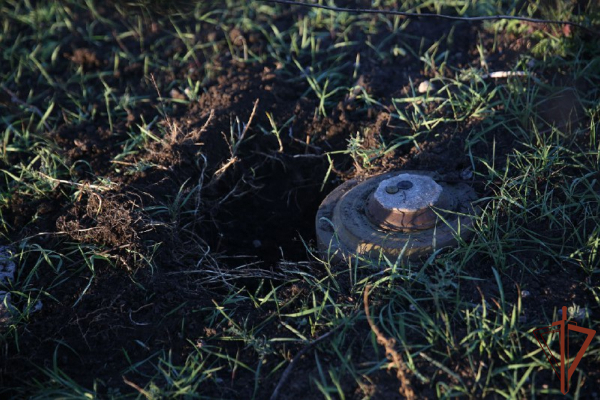 Росгвардейцы уничтожили найденную у дороги противотанковую мину в ДНР