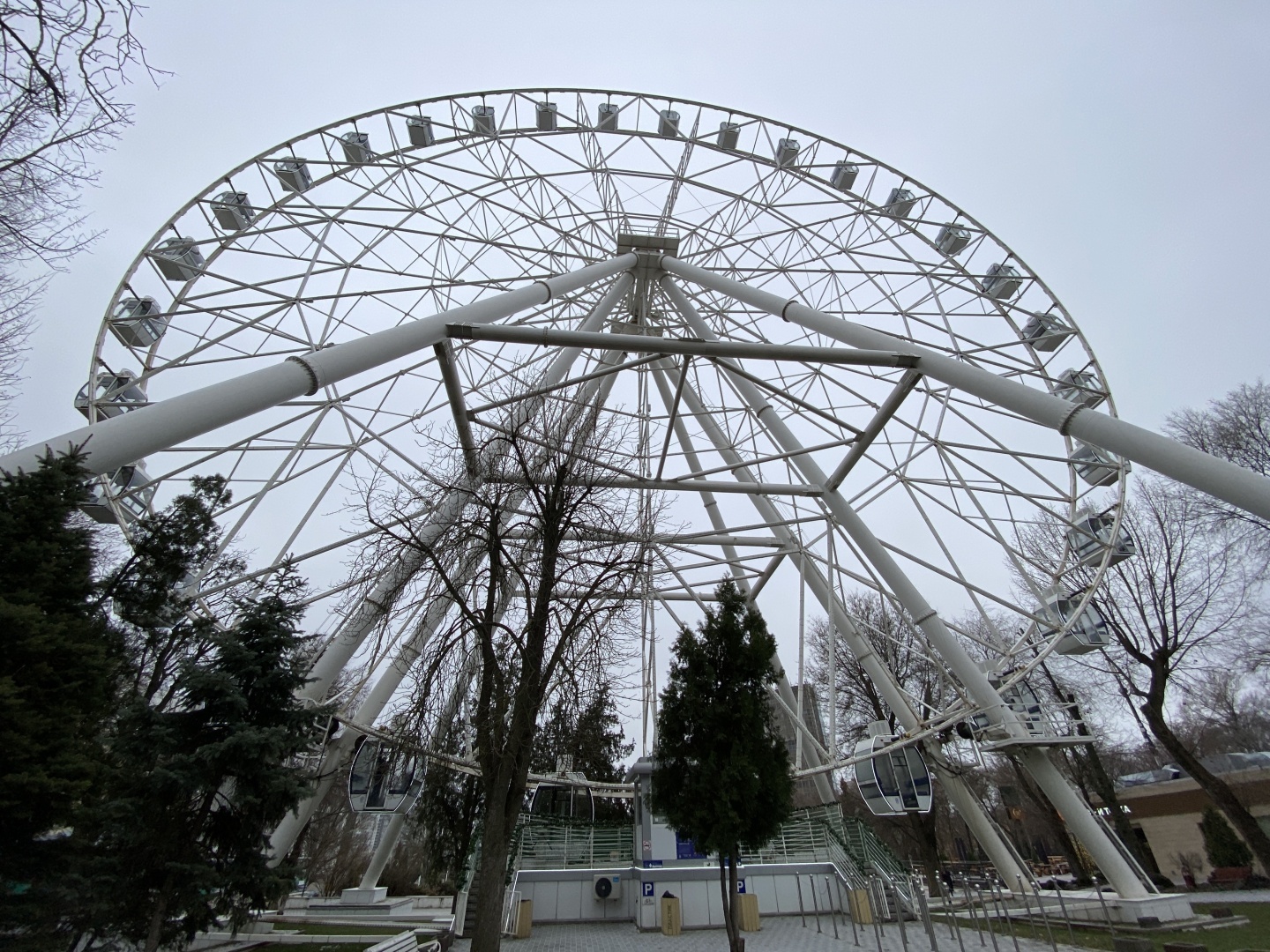 Куда пойти в Ростове-на-Дону зимой/ Красивейшие места города