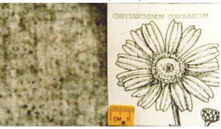 Христианский детектив: вещественные доказательства