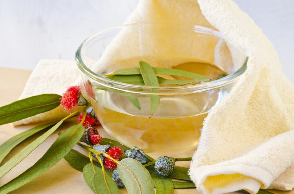 Исцеляющая мудрость. Бабушкины секреты борьбы с простудой