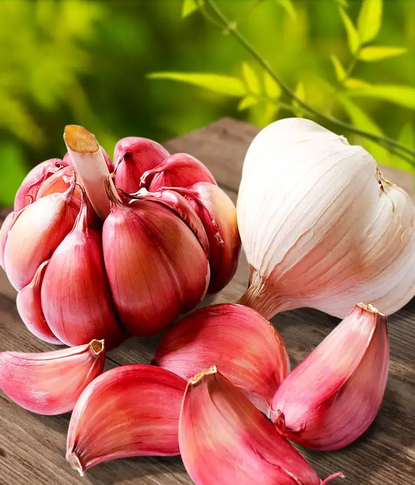 Исцеляющая мудрость. Бабушкины секреты борьбы с простудой