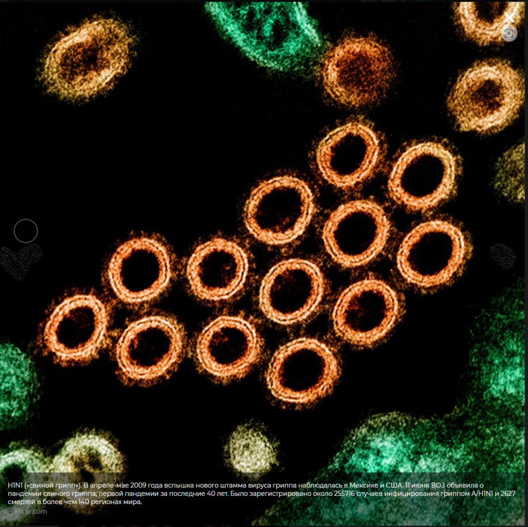 Невидимые чудеса. Погружение в таинственный микромир