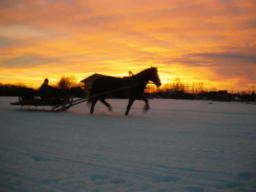 "Чудеса, да и только".