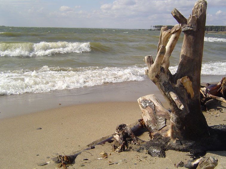 Рассказ "Город Бердск"