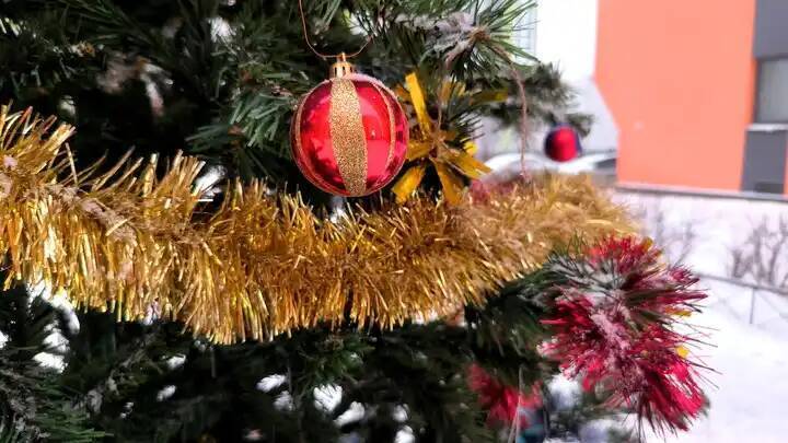 Мигранты выступают против новогодних ёлок. И это не шутка.