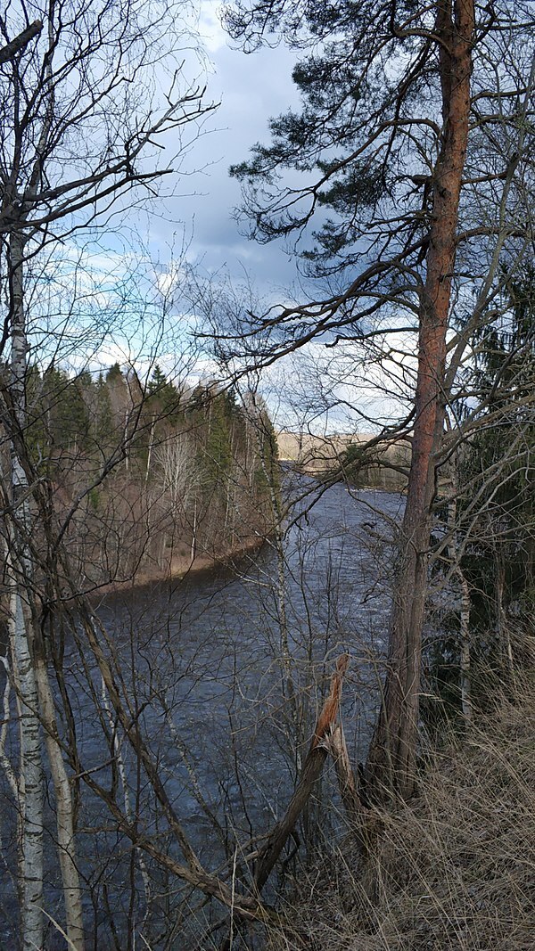 Рассказ "Город Боровичи"