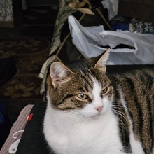 Олег, г. Симферополь