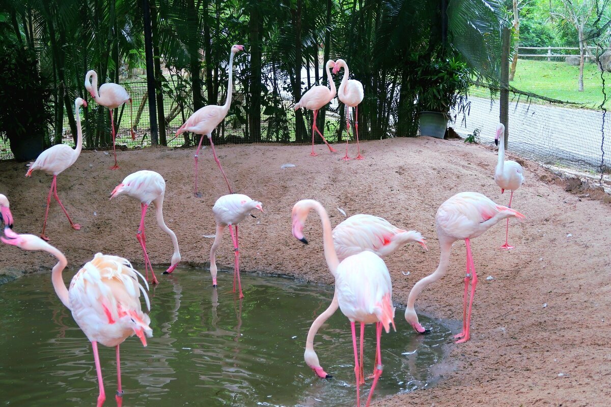 Указывать другим людям где им отдыхать, пытаясь при этом вызвать чувство вины - хамство "в квадрате"