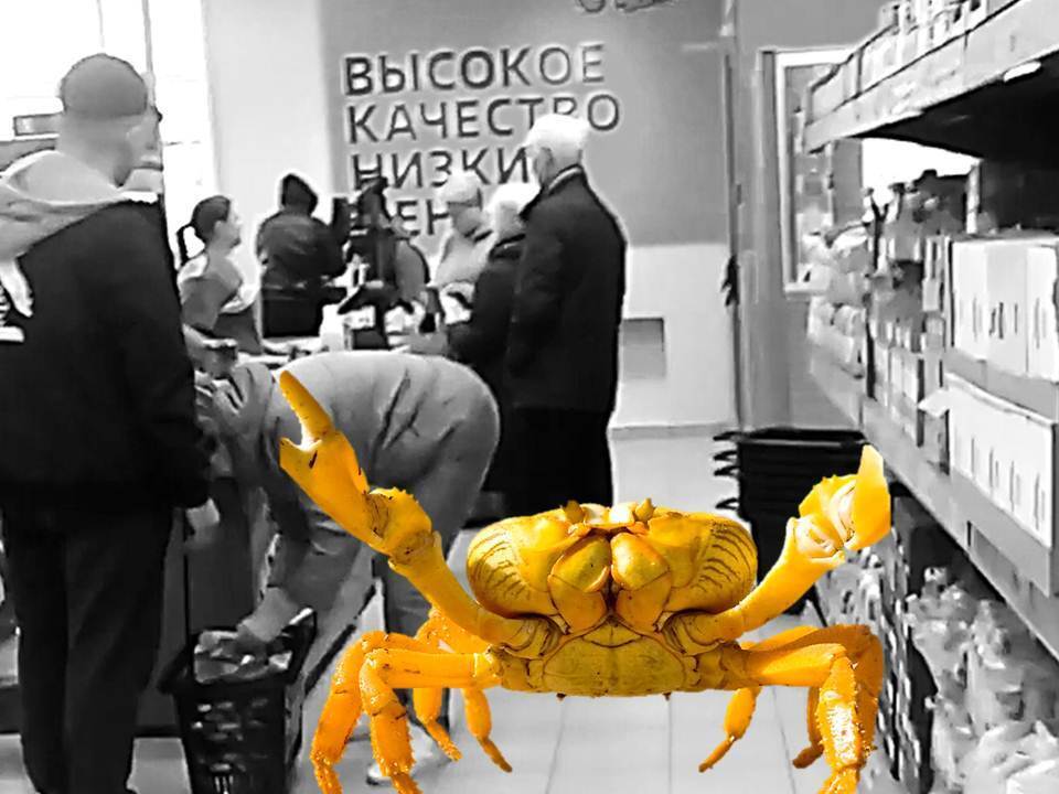 Пенсионеры телегами скупают в магазинах крабов. Крабы дешёво? Фантастика!