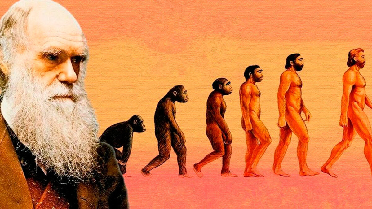 Darwin theory of evolution. Эволюционная теория Чарльза Дарвина. Эволюция Дарвина. Человек произошел от обезьяны. Мы произошли от обезьян.