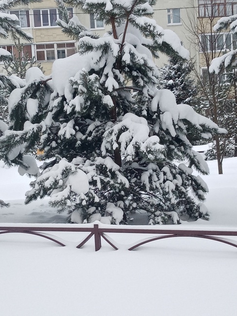 Как только в России не называют мороз! От куда все эти названия?